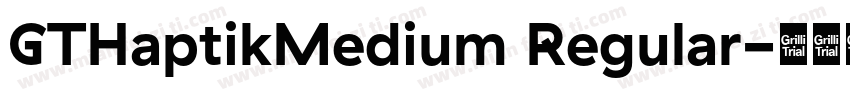 GTHaptikMedium Regular字体转换